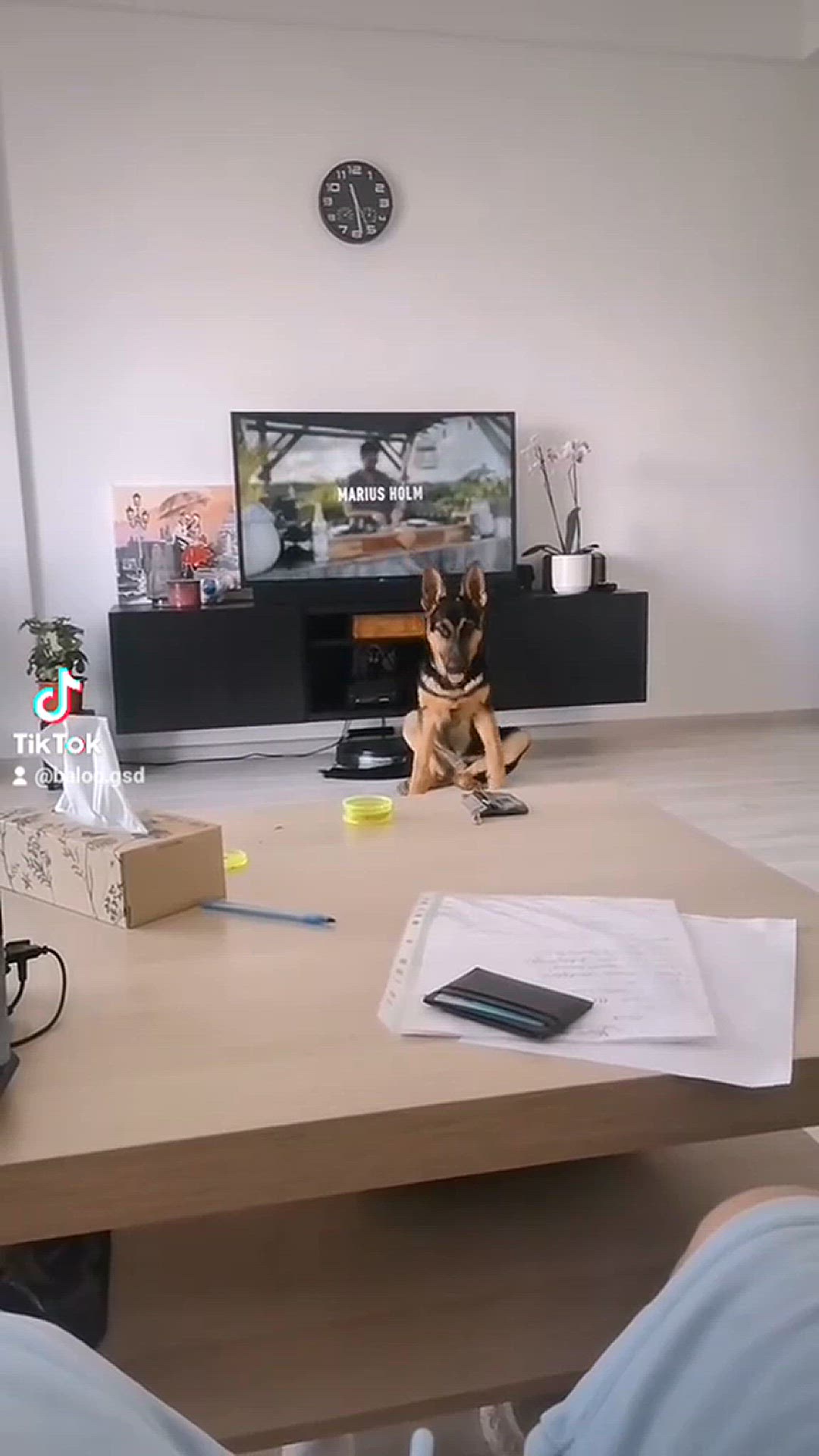 'Video thumbnail for Baloo-star.com'