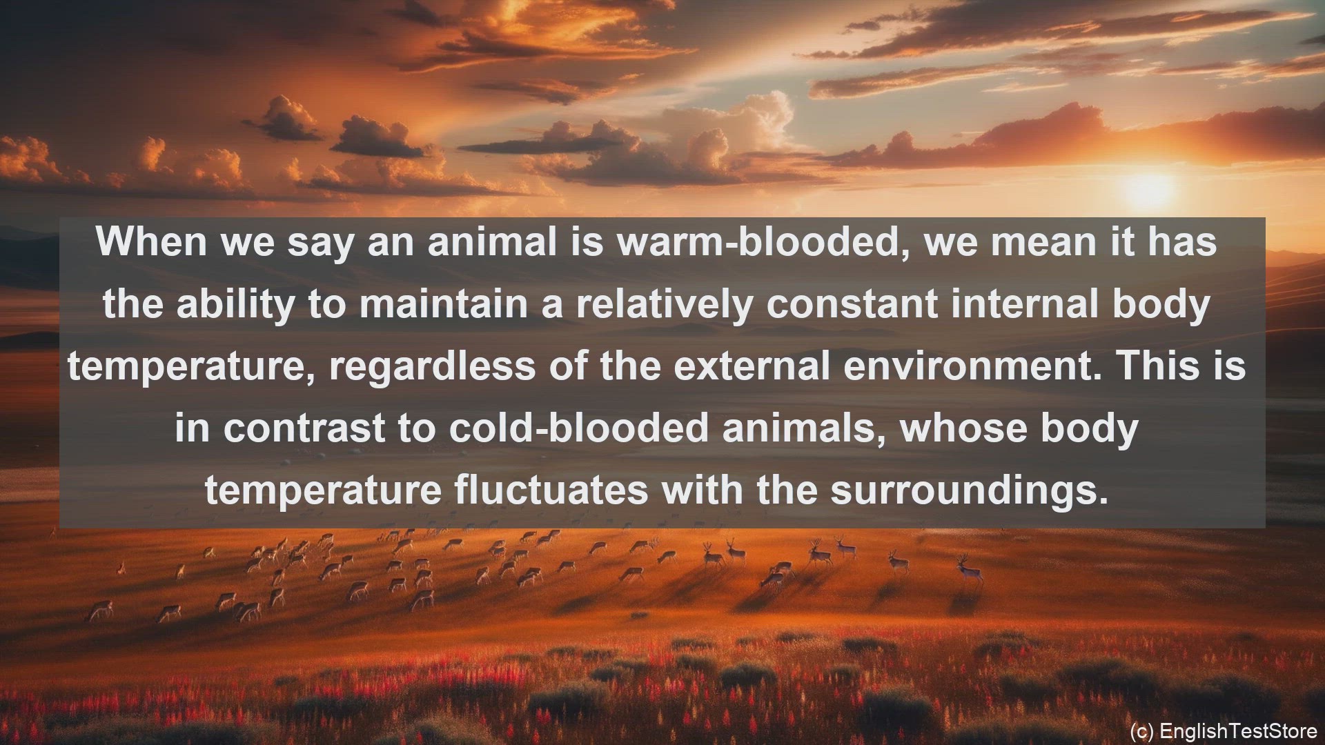 'Video thumbnail for Warm blooded animal in science  definition and examples'