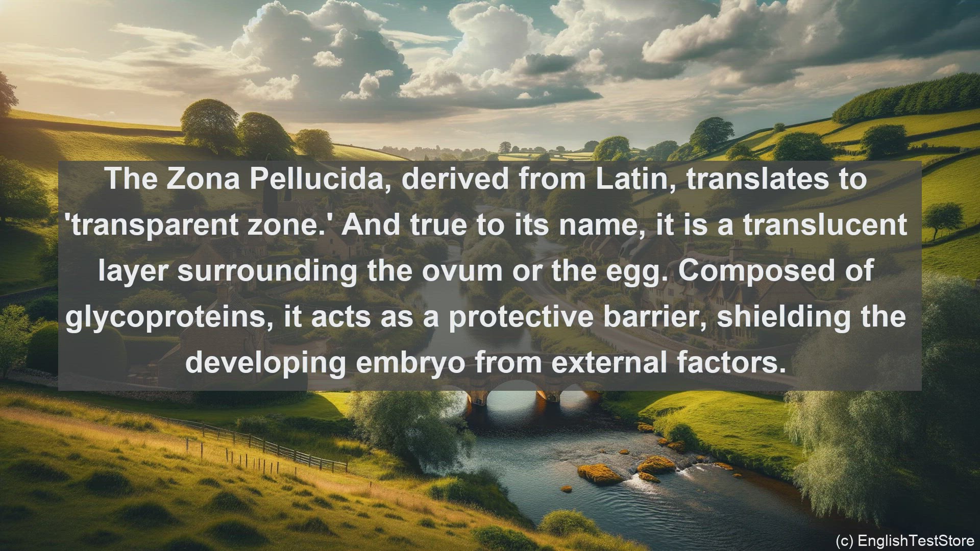 'Video thumbnail for Zona pellucida in science  definition and examples'