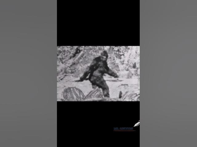 Video thumbnail for ഏതാണ് യെതി/yeti himalaya story