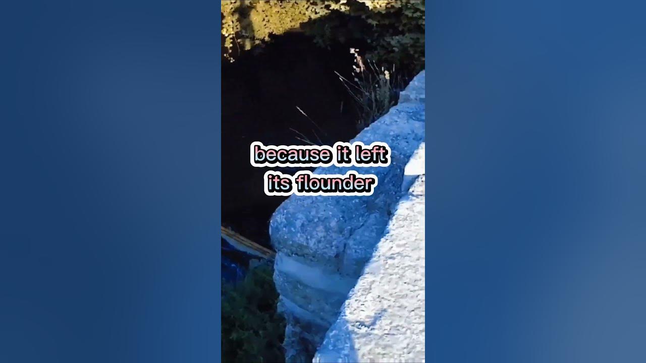 'Video thumbnail for Fishing Joke 23 #jokes #fishingjokes #humor'