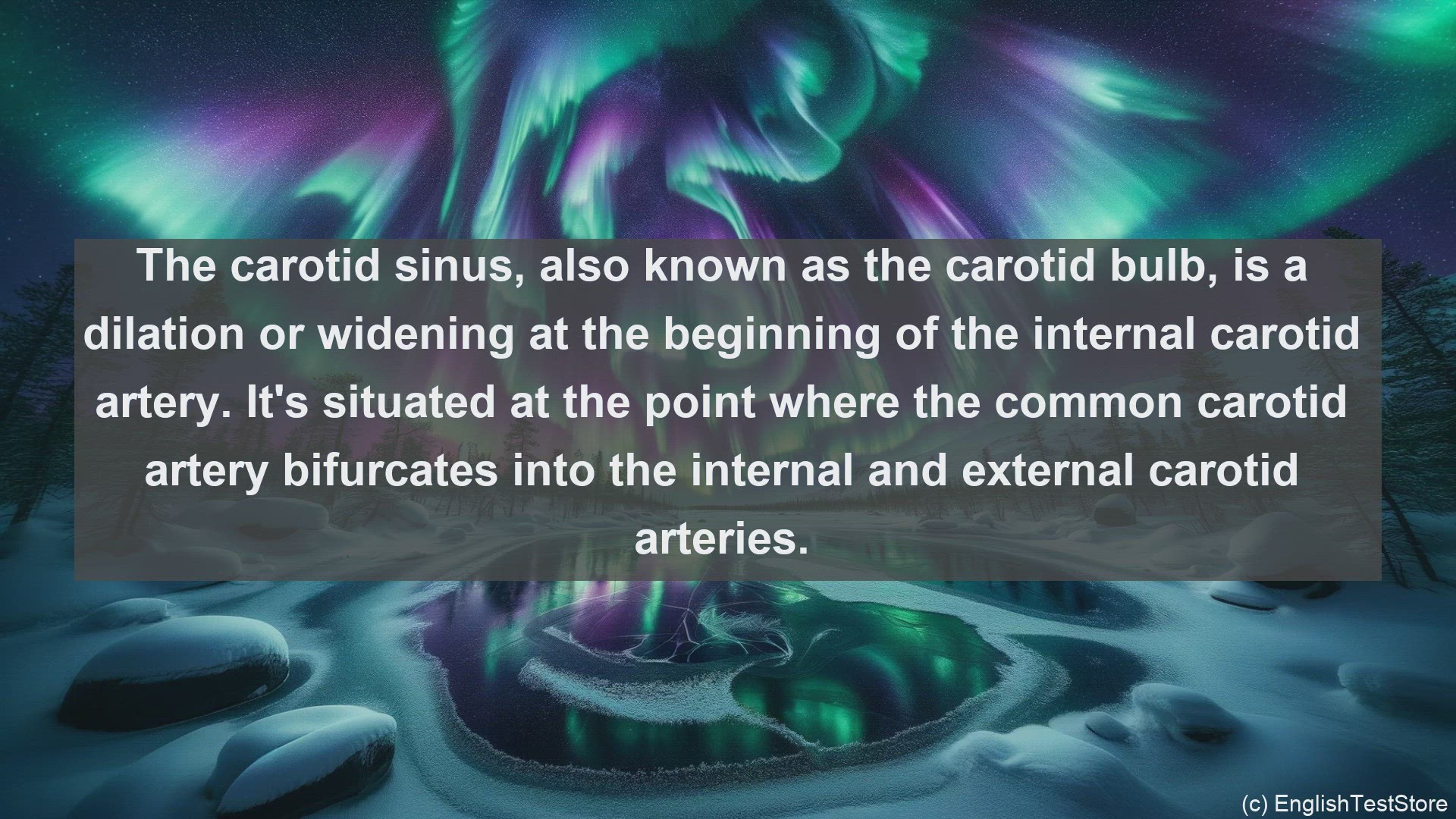 'Video thumbnail for Carotid sinus in science  definition and examples'