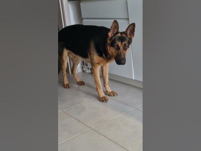 Video thumbnail for Do you have something that belongs to me?