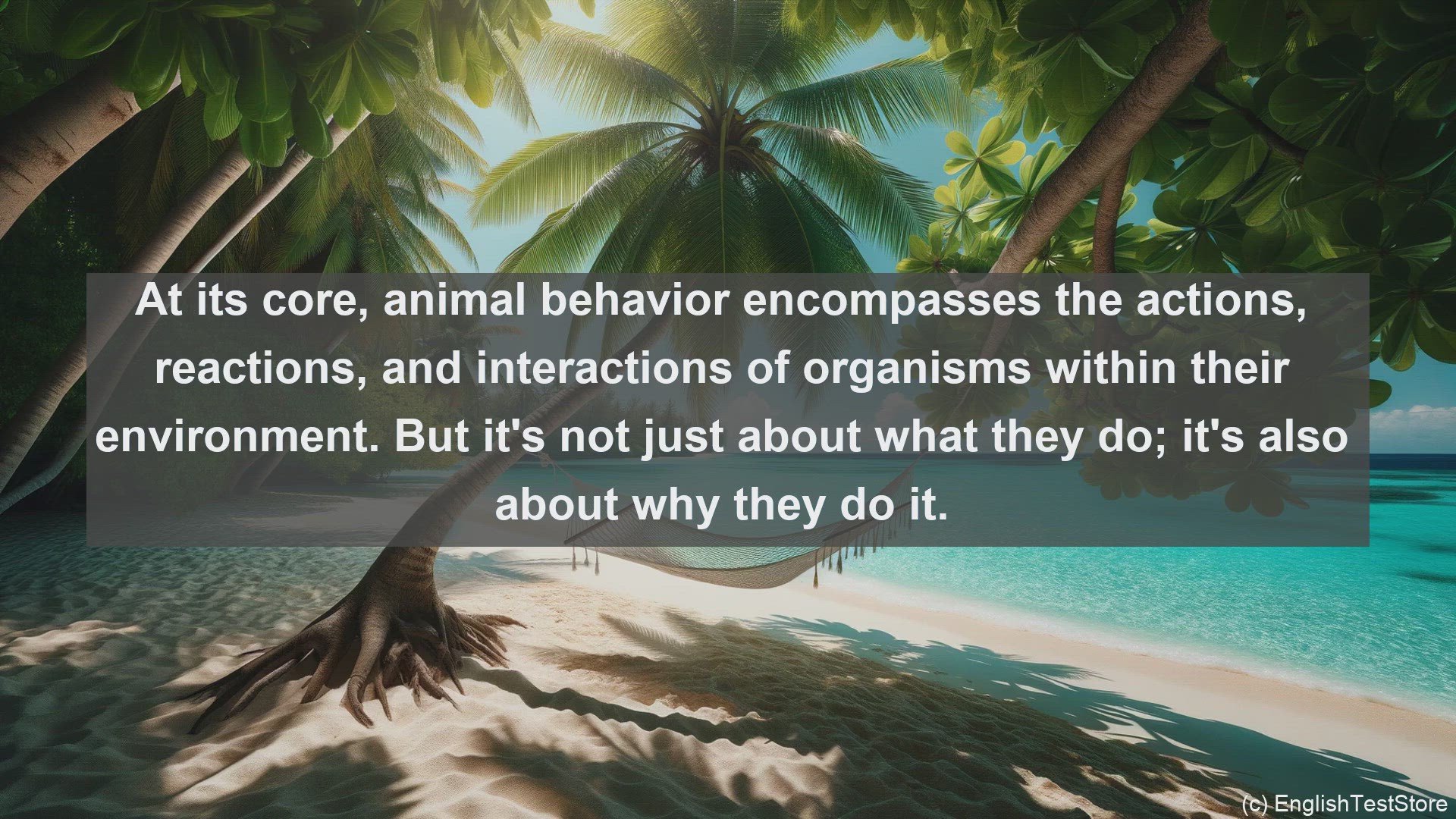 'Video thumbnail for Animal behaviour in science  definition and examples'