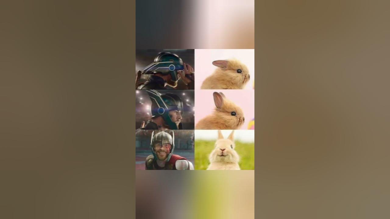 'Video thumbnail for Memes only Legends will find funny ,op memes | Relatable memes | #50 #shorts #memes #anonymous #meme'