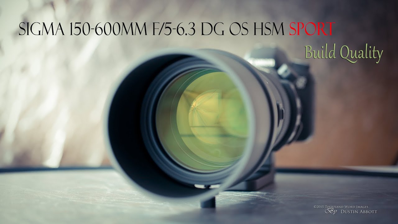 Sigma 150-600mm f/5-6.3 OS HSM Sport Telephoto - Professional Build Quality