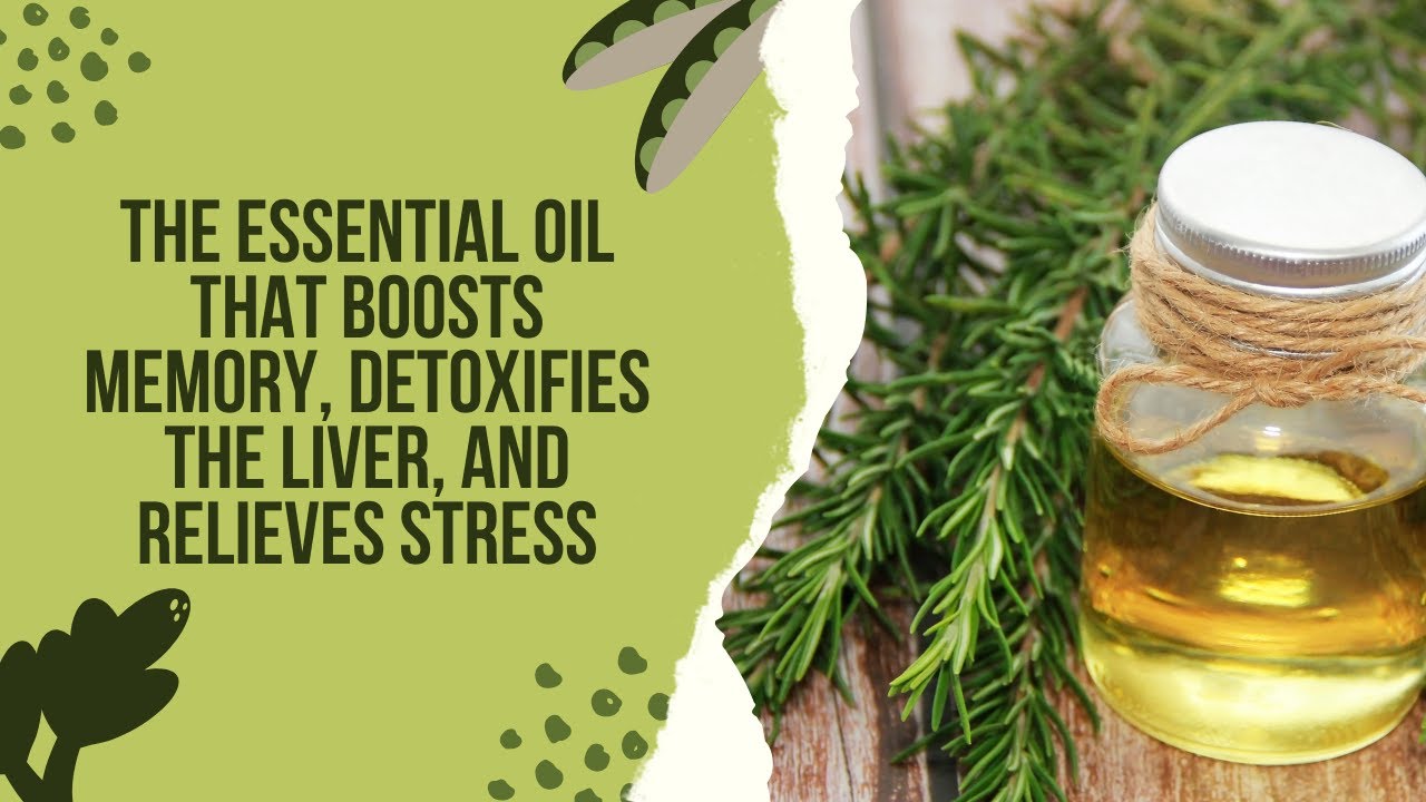 Video thumbnail for The Essential Oil that Boosts Memory, Detoxifies the Liver, And Relieves Stress