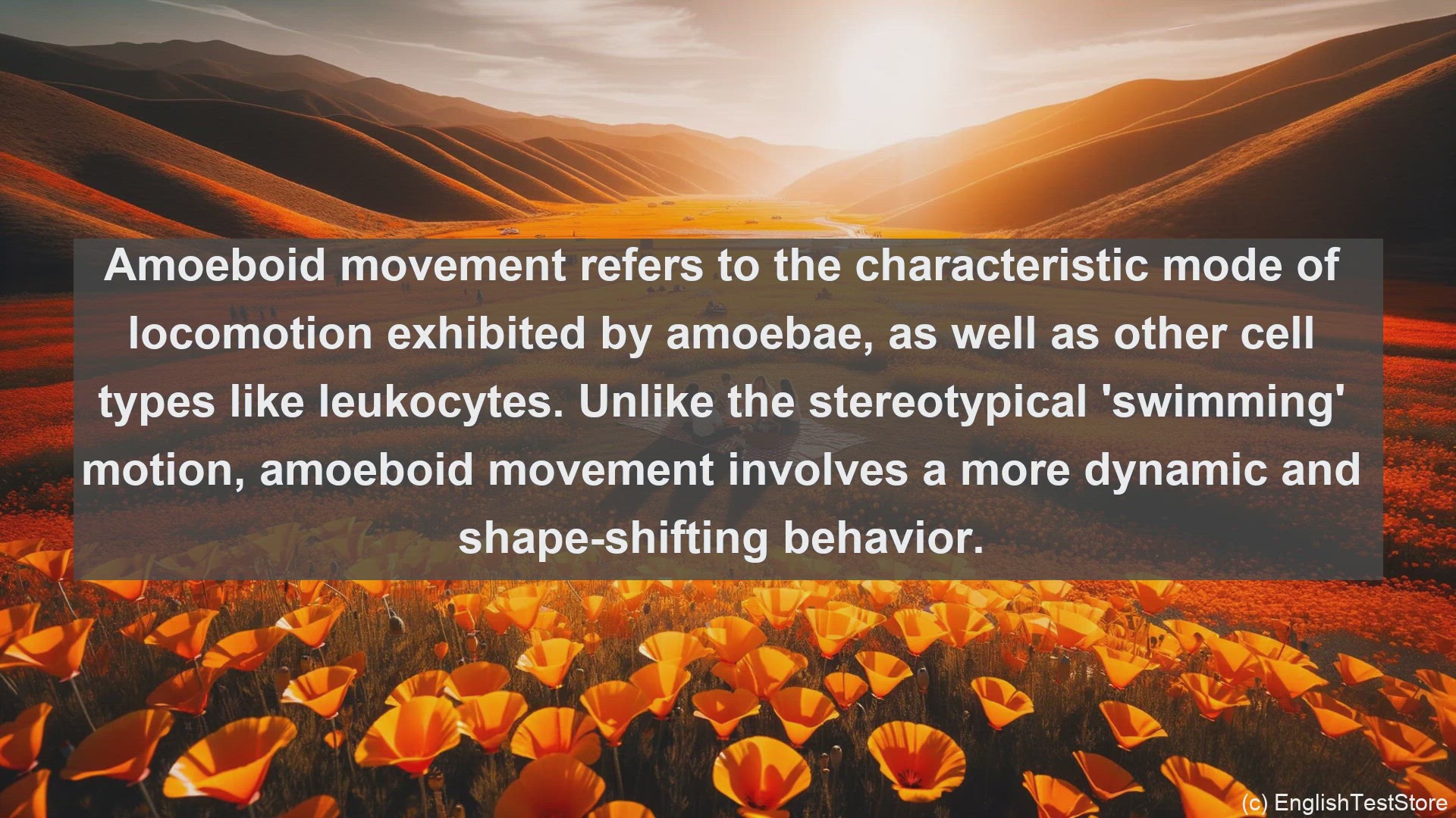'Video thumbnail for Amoeboid movement in science  definition and examples'
