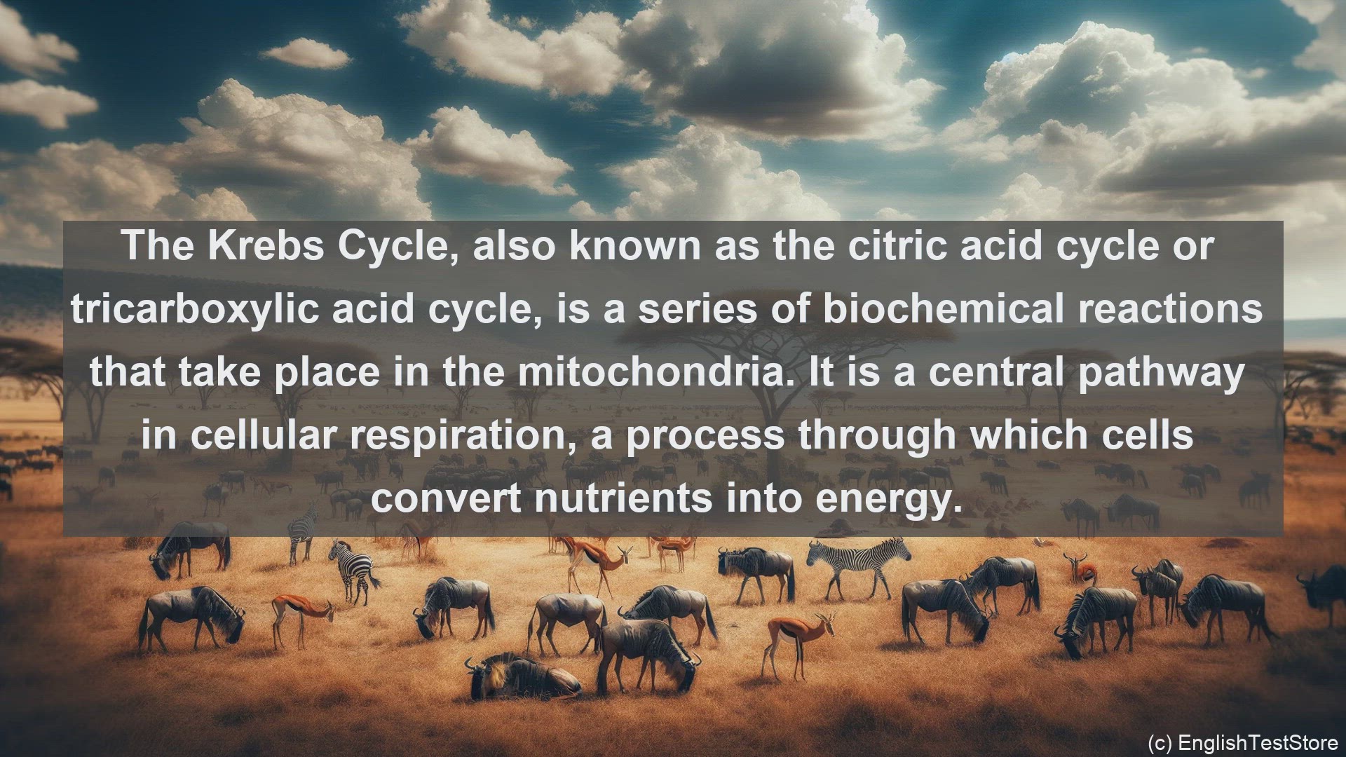 'Video thumbnail for Krebs cycle in science  definition and examples'
