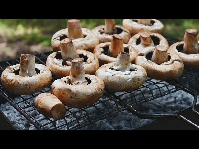 'Video thumbnail for Grilled Portobello Mushrooms | The Ultimate Meat-Free Delight'