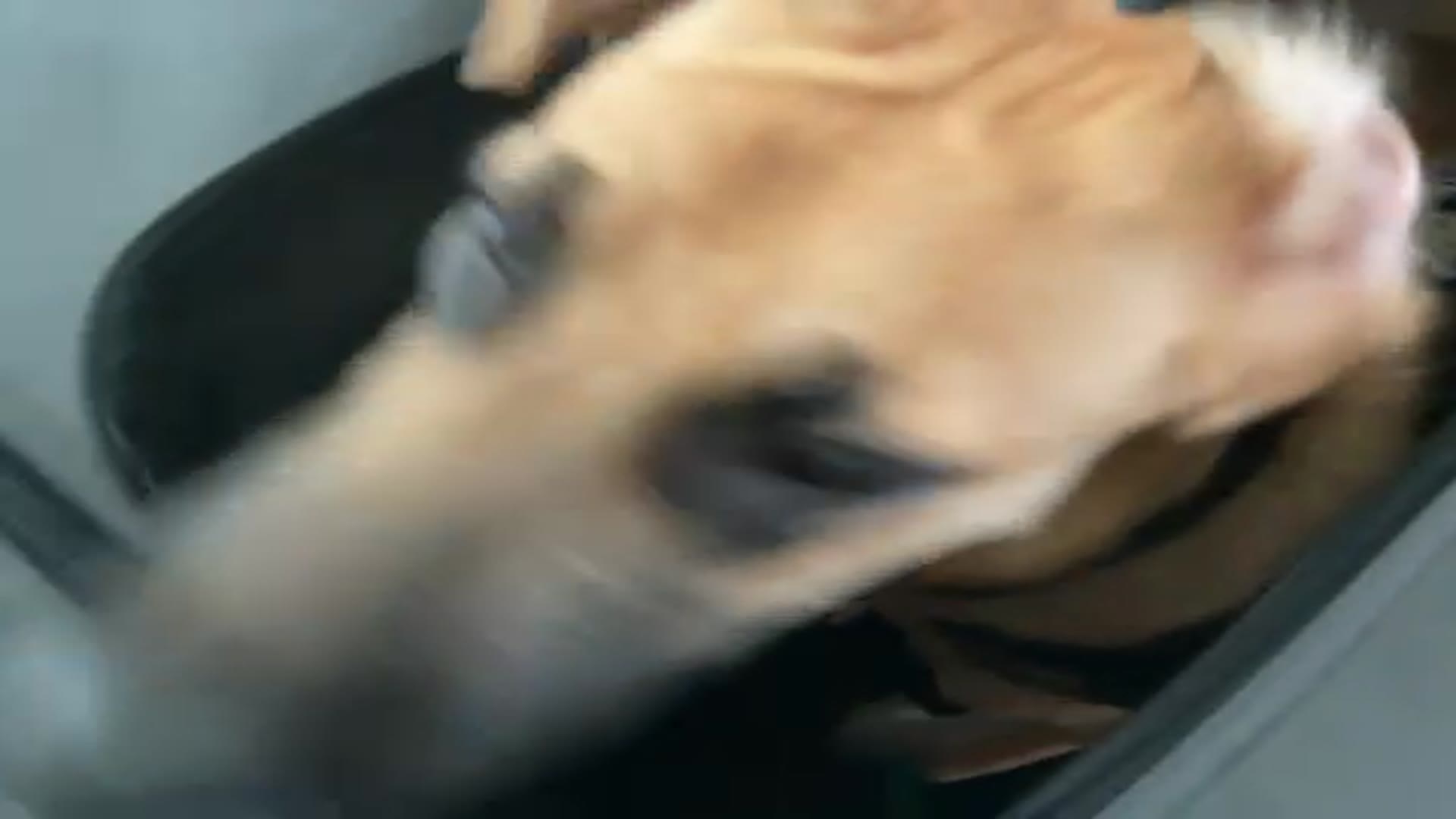 Video thumbnail for 77738927068  BD5681E7 ABFC 4398 AA91 5F173DF530F9