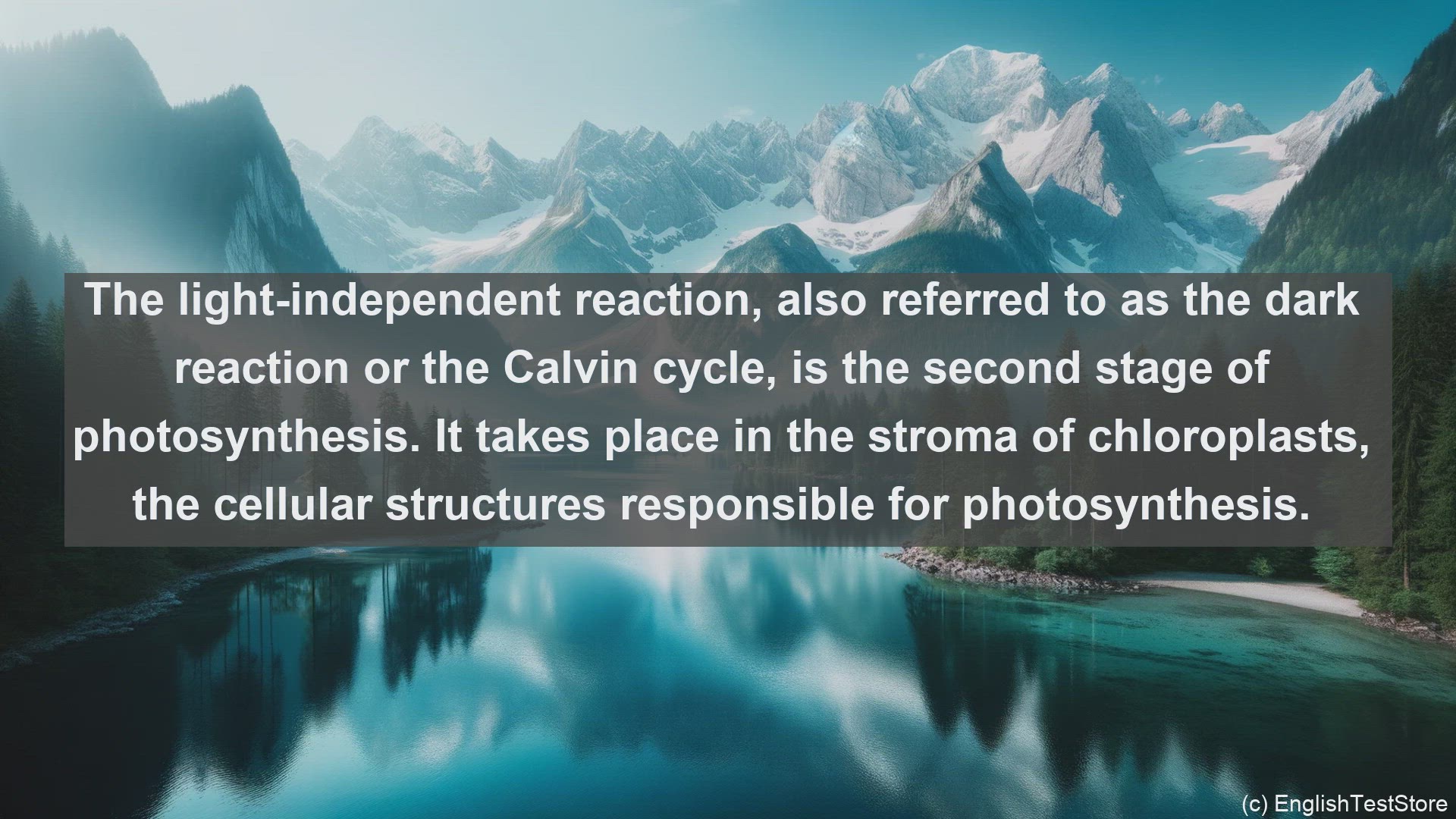 'Video thumbnail for Light independent reaction in science  definition and examples'