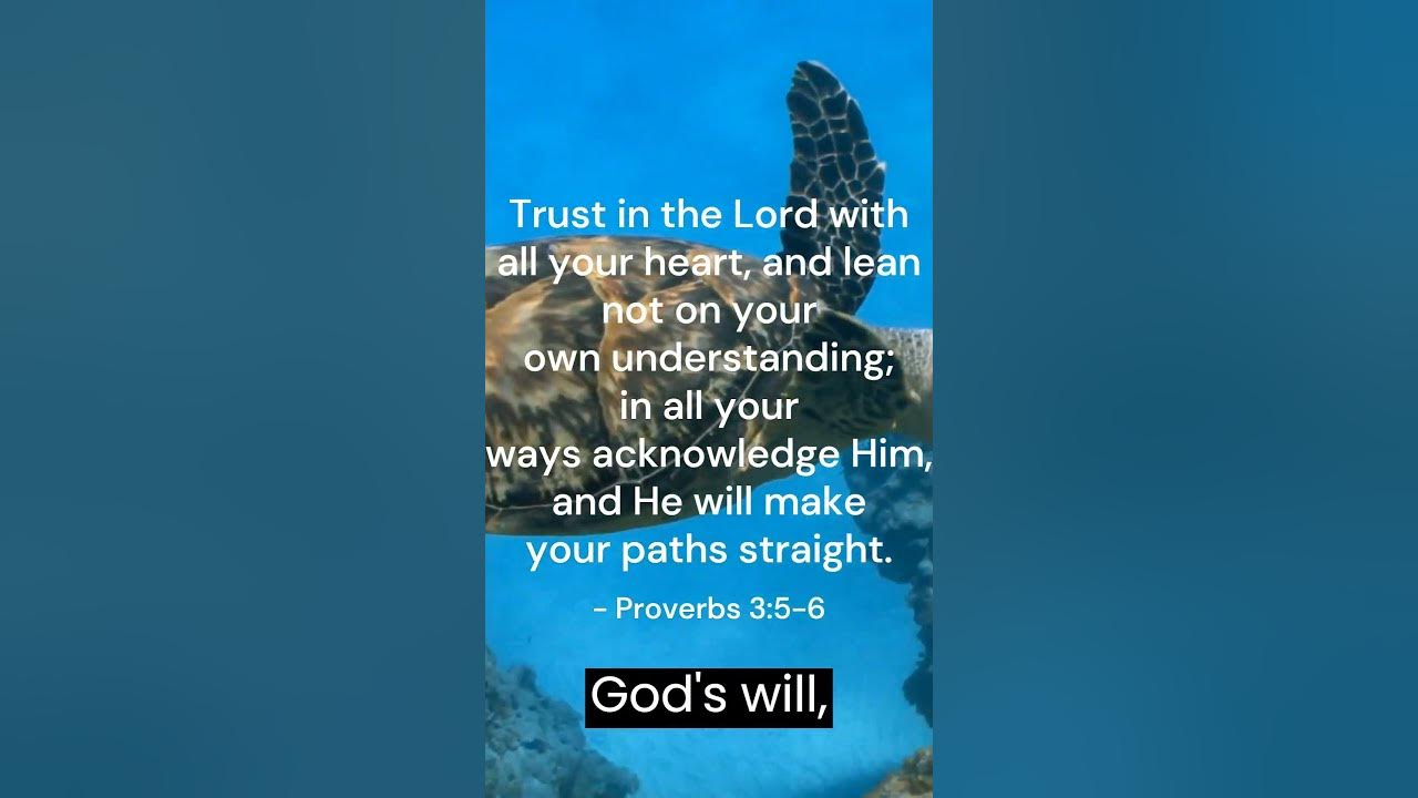 Video thumbnail for Trusting in the Lord: Understanding Proverbs 3:5-6 #shorts