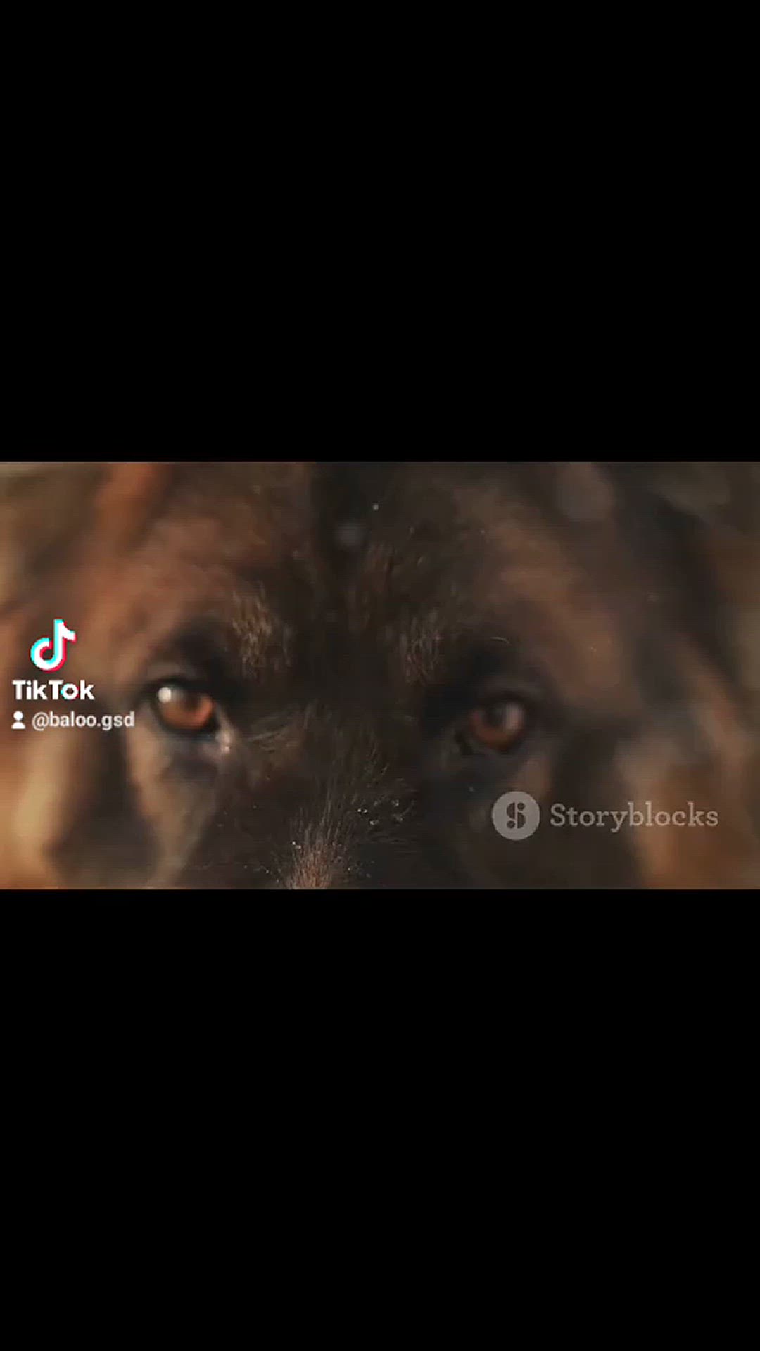 'Video thumbnail for Baloo-star.com'