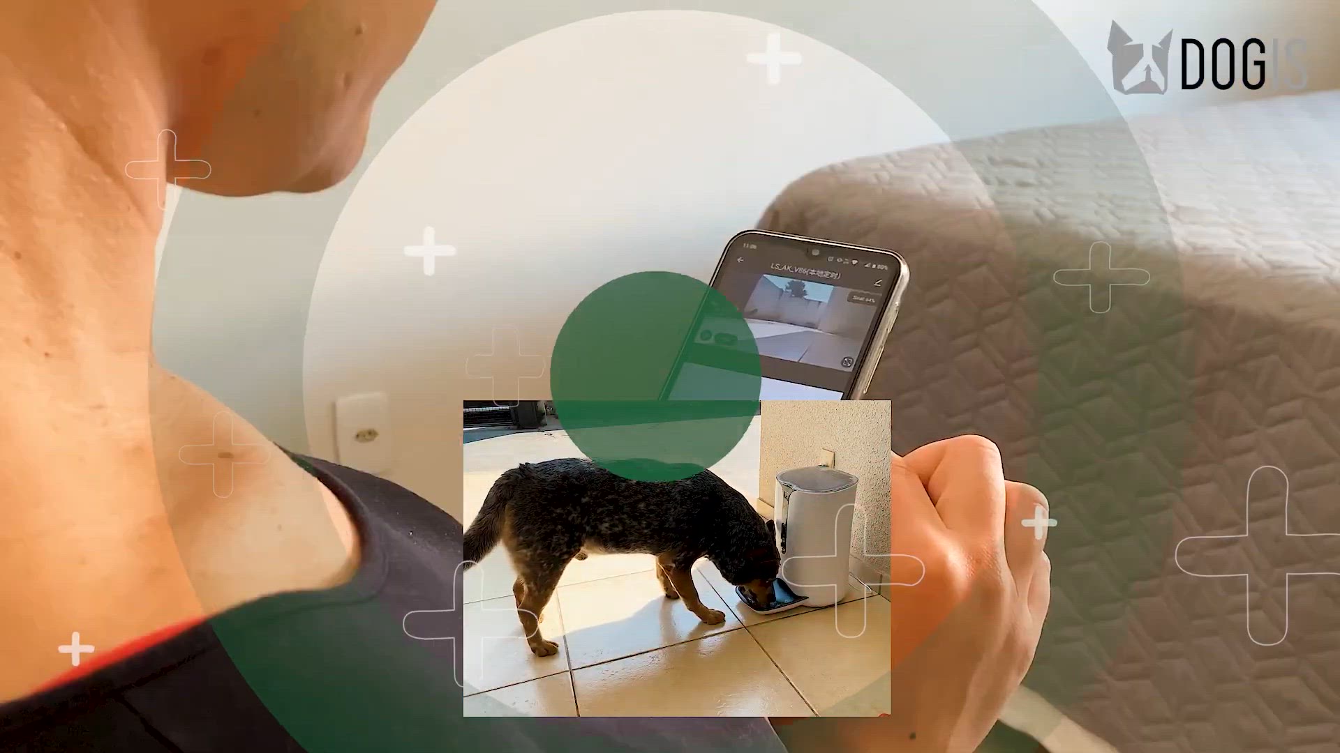 'Video thumbnail for CONHEÇA O COMEDOURO AUTOMÁTICO PARA O SEU PET!'