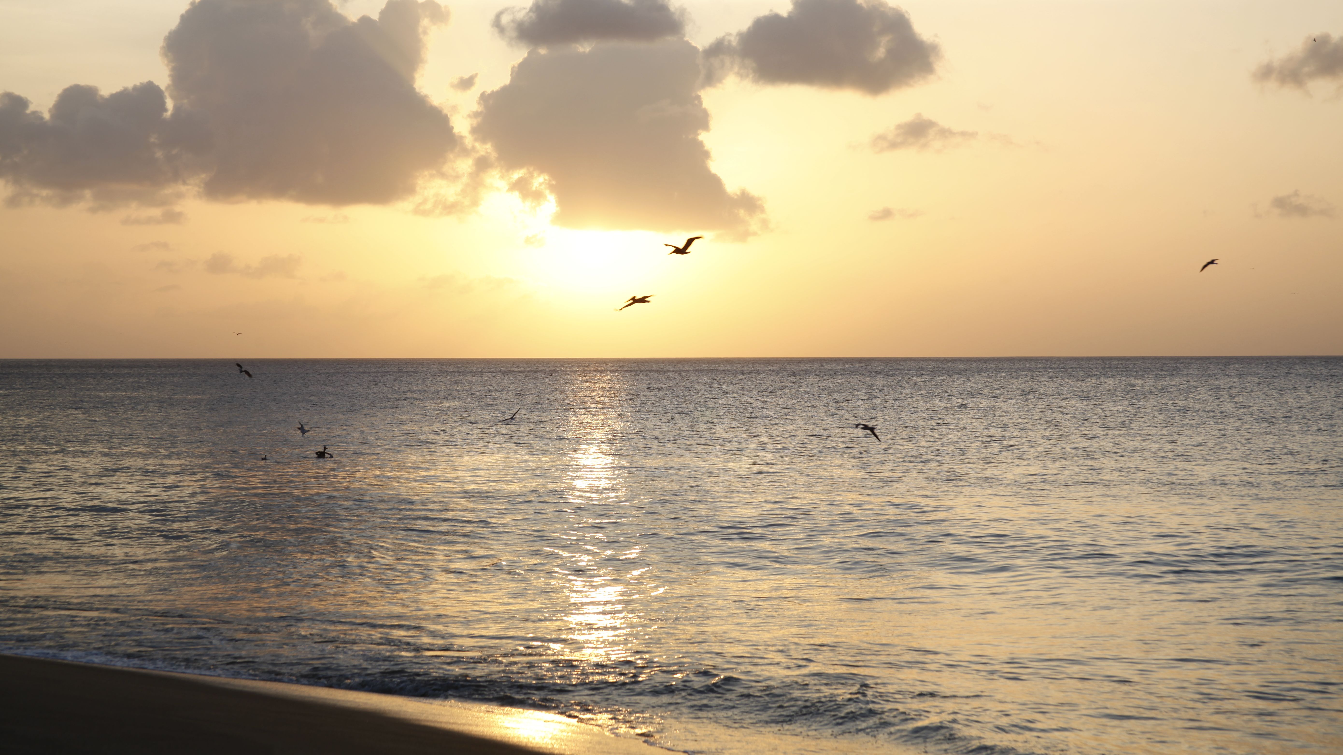 'Video thumbnail for Hotel Starfish auf Tobago'
