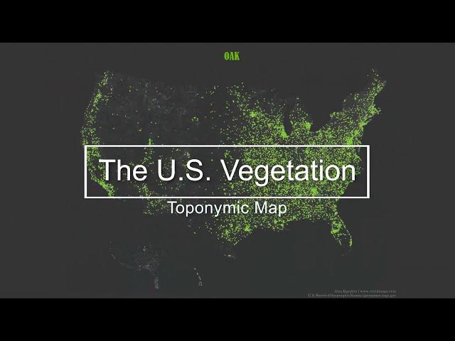 Video thumbnail for Toponymic Map of the US Vegetation