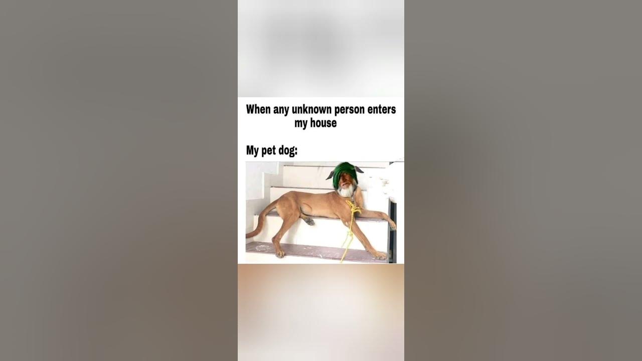 'Video thumbnail for Memes only Legends will find funny,op memes | Relatable memes | #173 #shorts #memes #anonymous #meme'