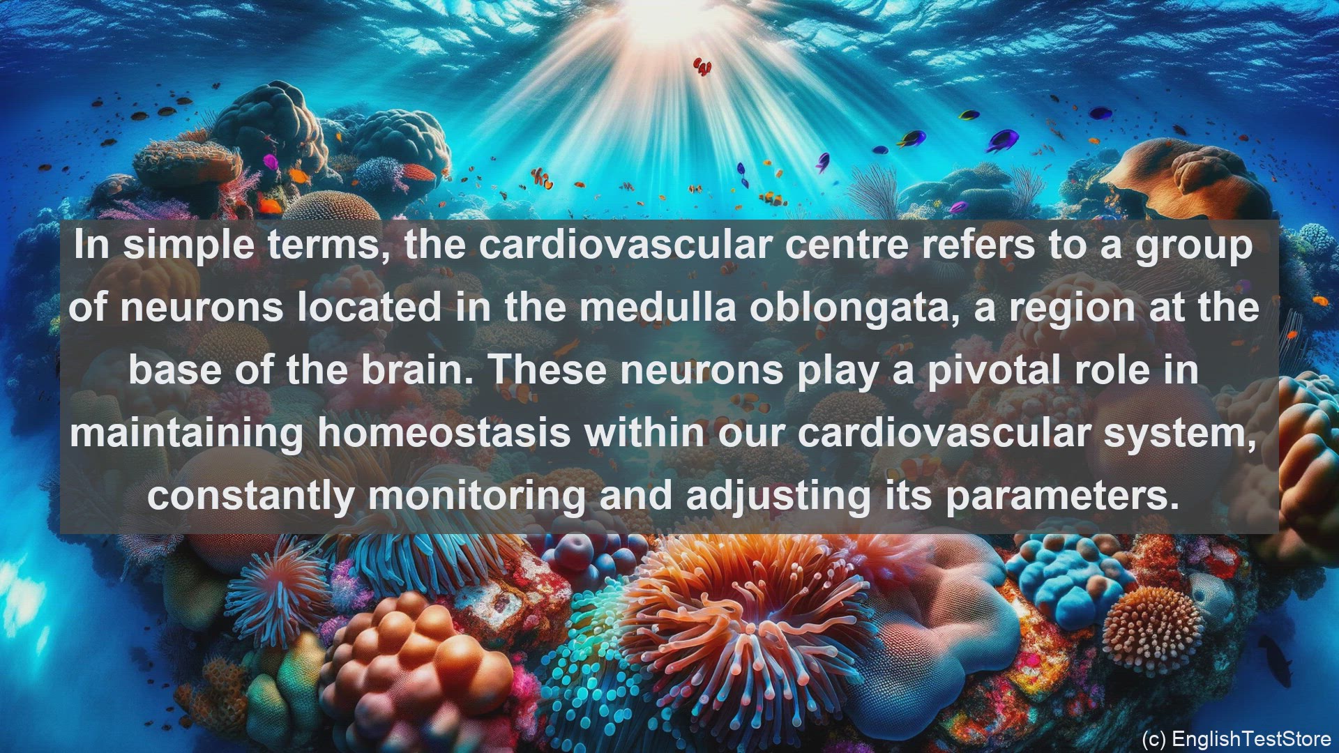 'Video thumbnail for Cardiovascular centre in science  definition and examples'