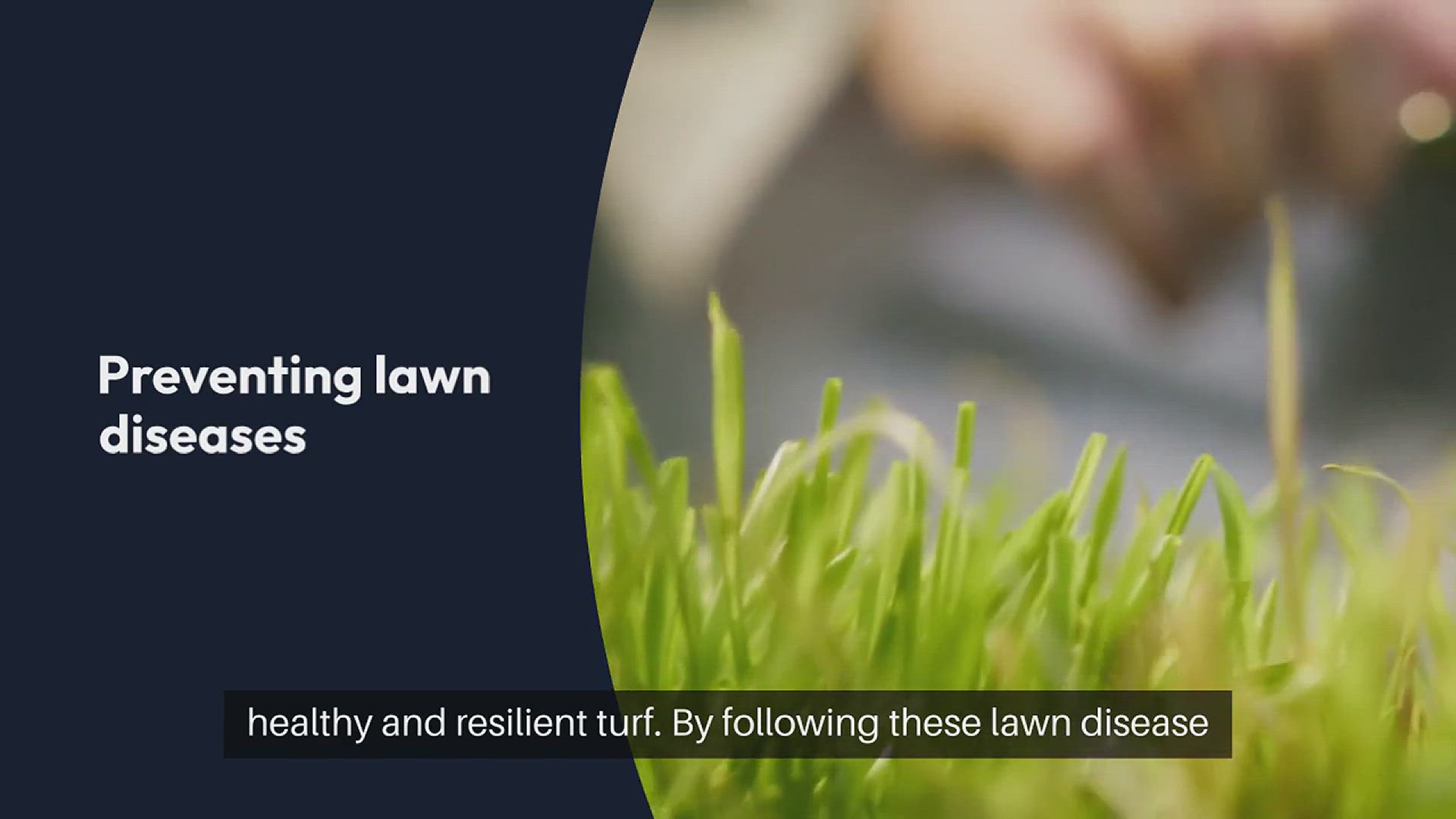 'Video thumbnail for Lawn Disease Prevention Tips'