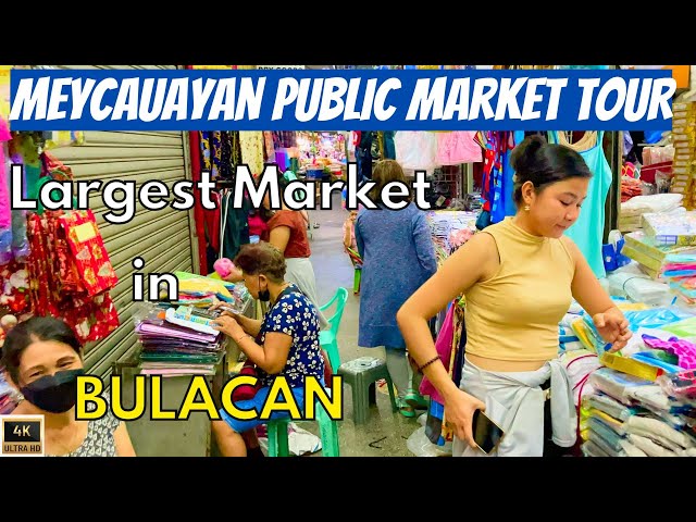 Video thumbnail for MEYCAUAYAN Public Market WALKING TOUR PHILIPPINES | BULACAN [4K] WET MARKET with Fresh Foods