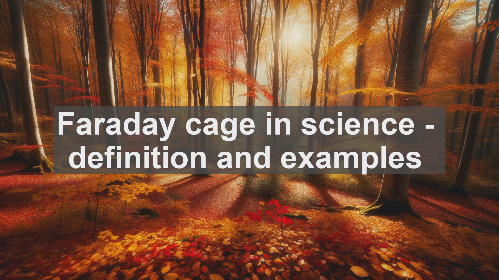 'Video thumbnail for Faraday cage in science  definition and examples'