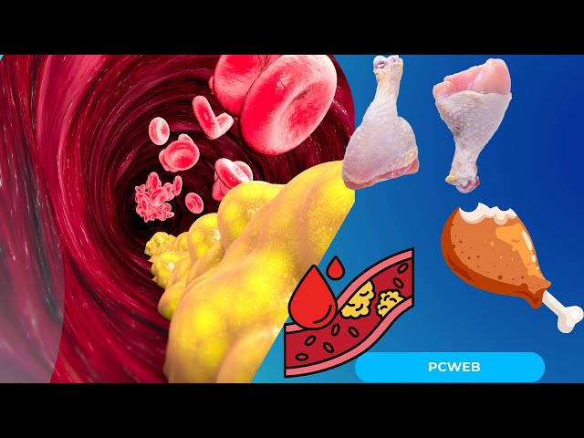 Playlist thumbnail for El colesterol, todo lo que necesitas saber