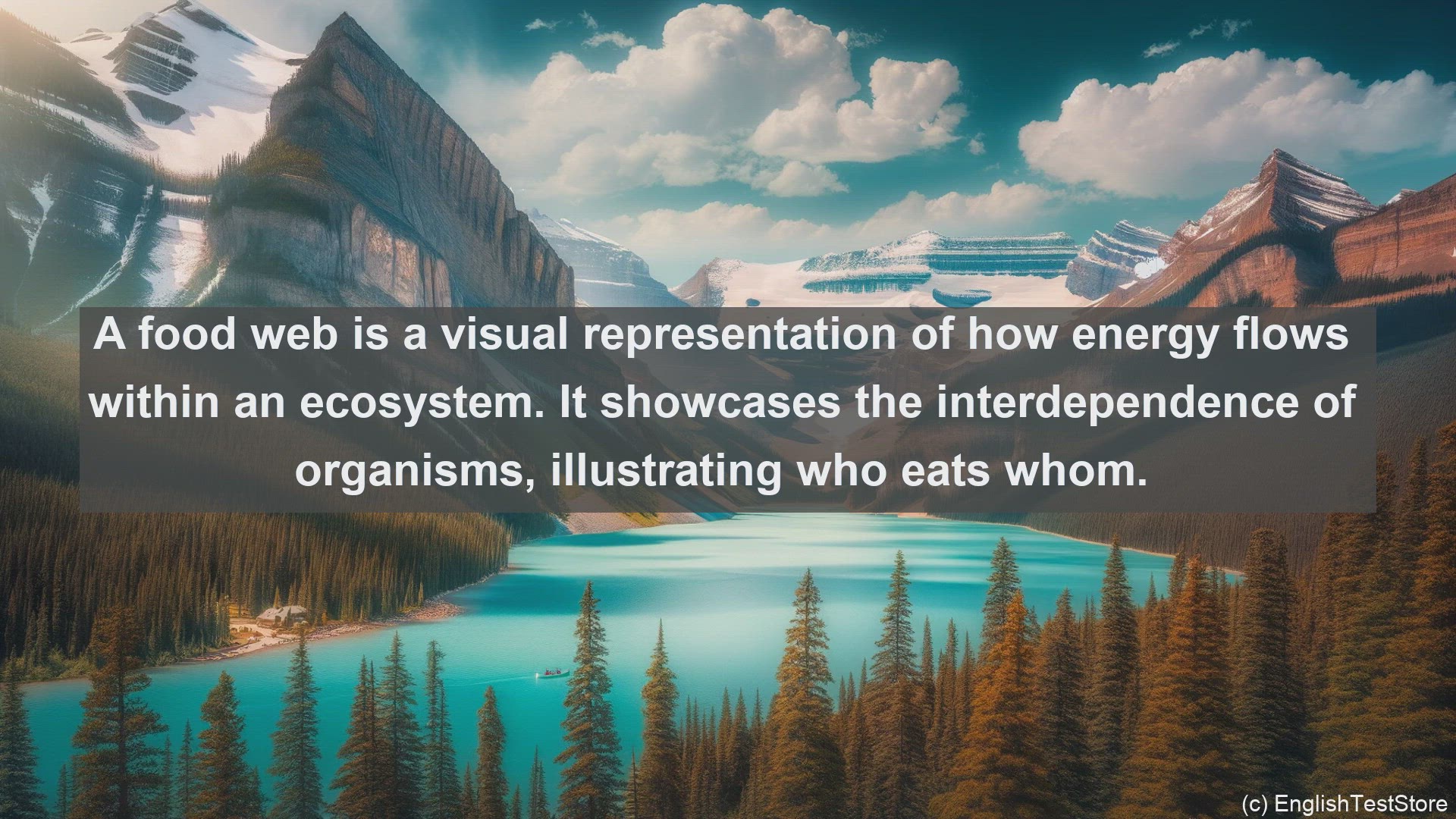 'Video thumbnail for Food web in science  definition and examples'