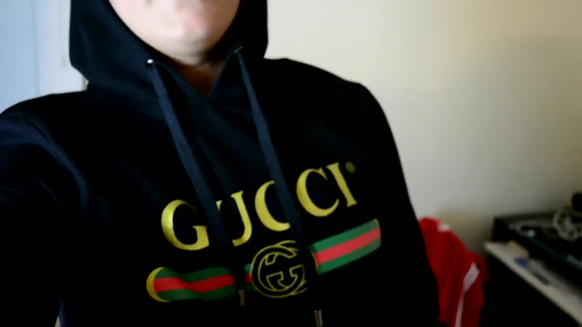 'Video thumbnail for INSANE SHOPPING SPREE $2,000+ NEW FAMILY MEMBER(Vlog #9)'