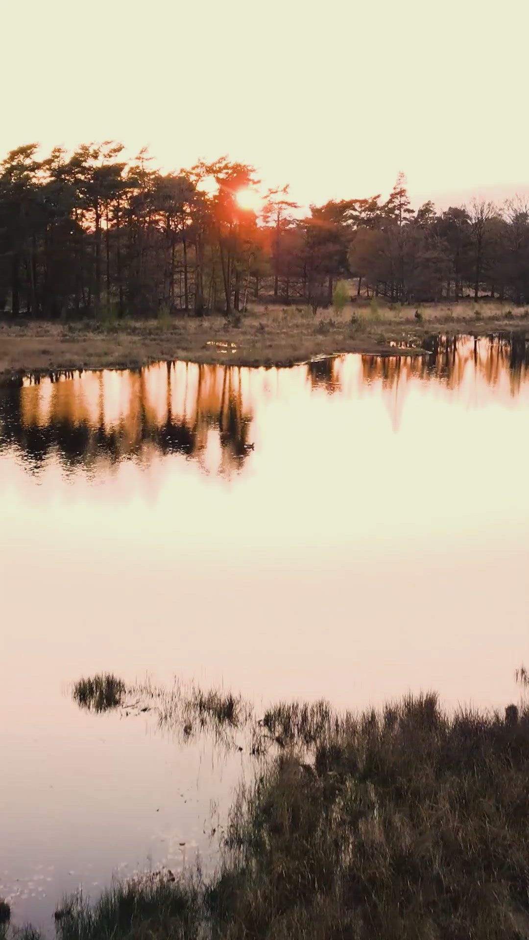'Video thumbnail for Oraciones de la Mañana para Fe y Esperanza 🌞Nuestra luz y salvación'