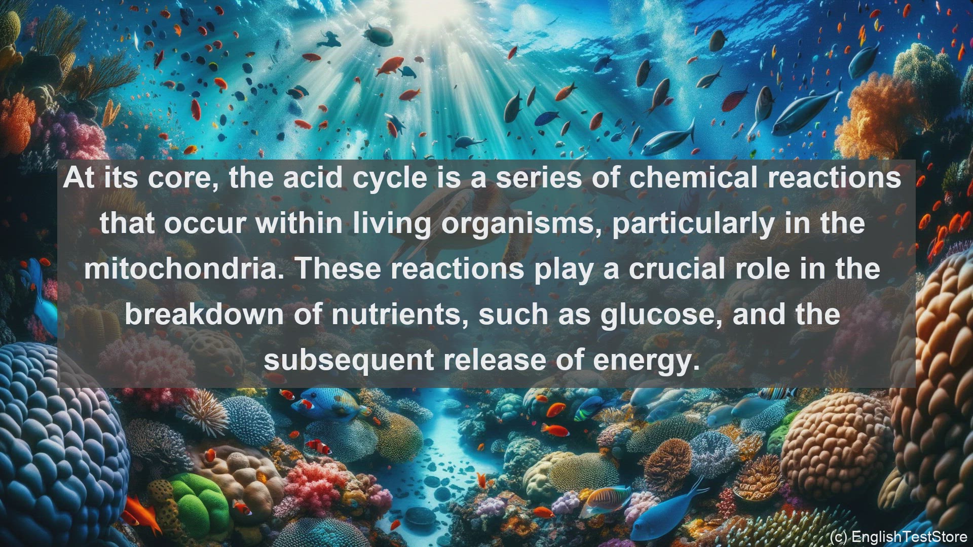 'Video thumbnail for Acid cycle in science  definition and examples'