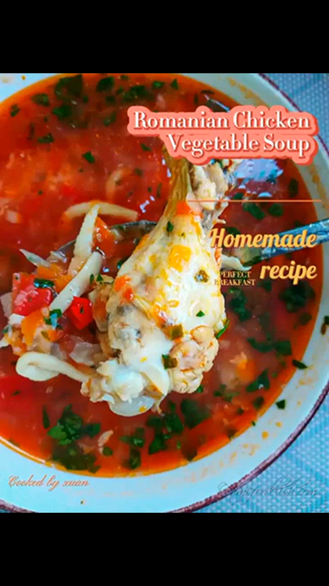 Video thumbnail for Romanian Chicken Vegetable Soup