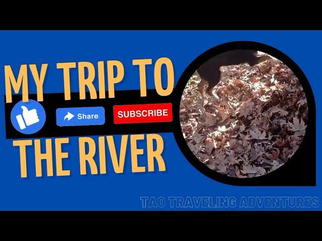 'Video thumbnail for Tao Traveling Adventures - Video Series #dogtravel #travelwithdogs #travelingdog #dogadventures'