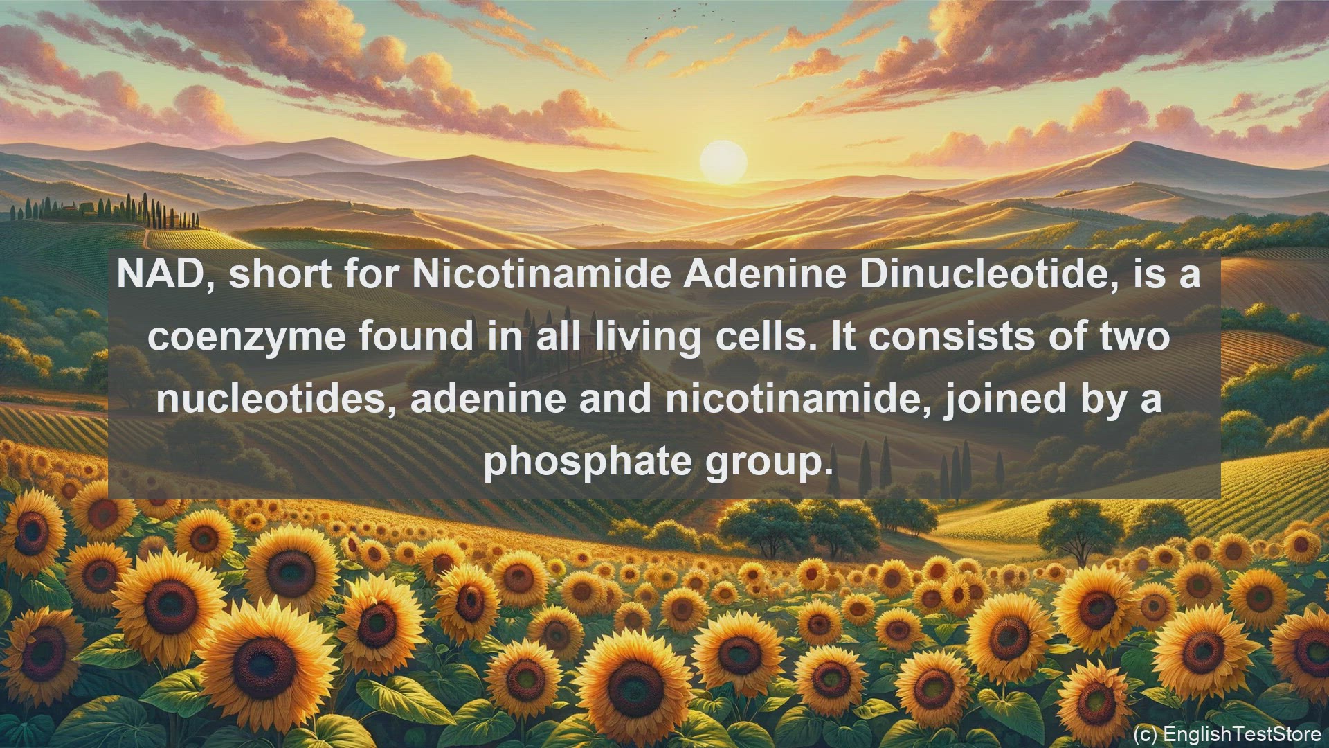 'Video thumbnail for Avin adenine dinucleotide in science  definition and examples'