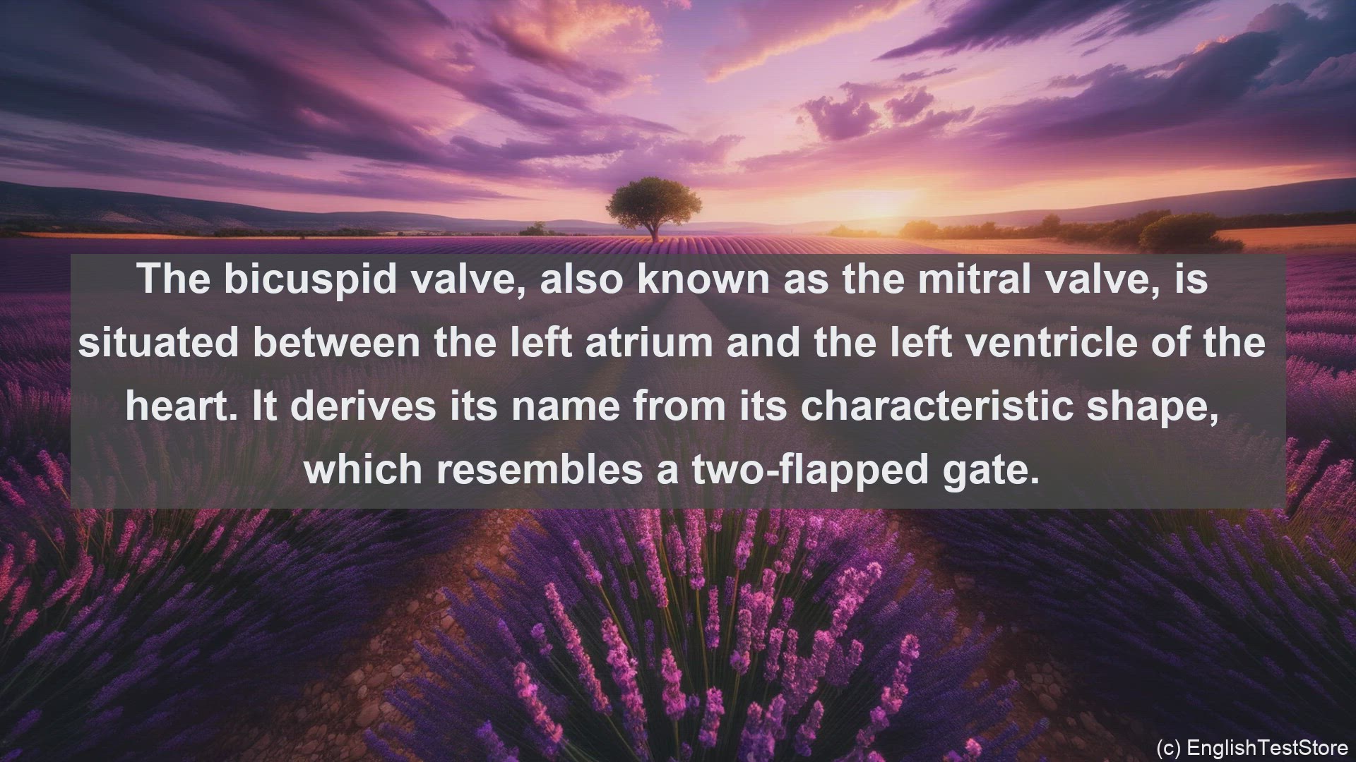 'Video thumbnail for Bicuspid valve in science  definition and examples'