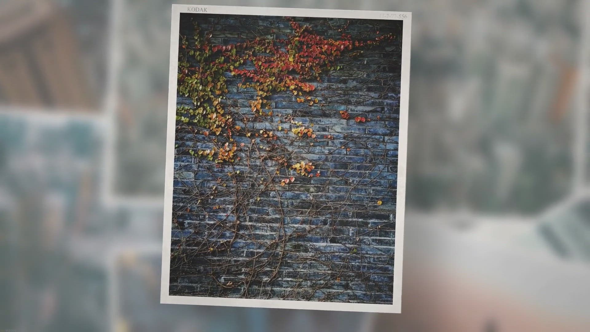 'Video thumbnail for How to Remove Image Background in Windows 11 Paint App?'