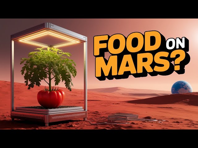 Video thumbnail for 5 Hidden Secrets of Growing FOOD on MARS