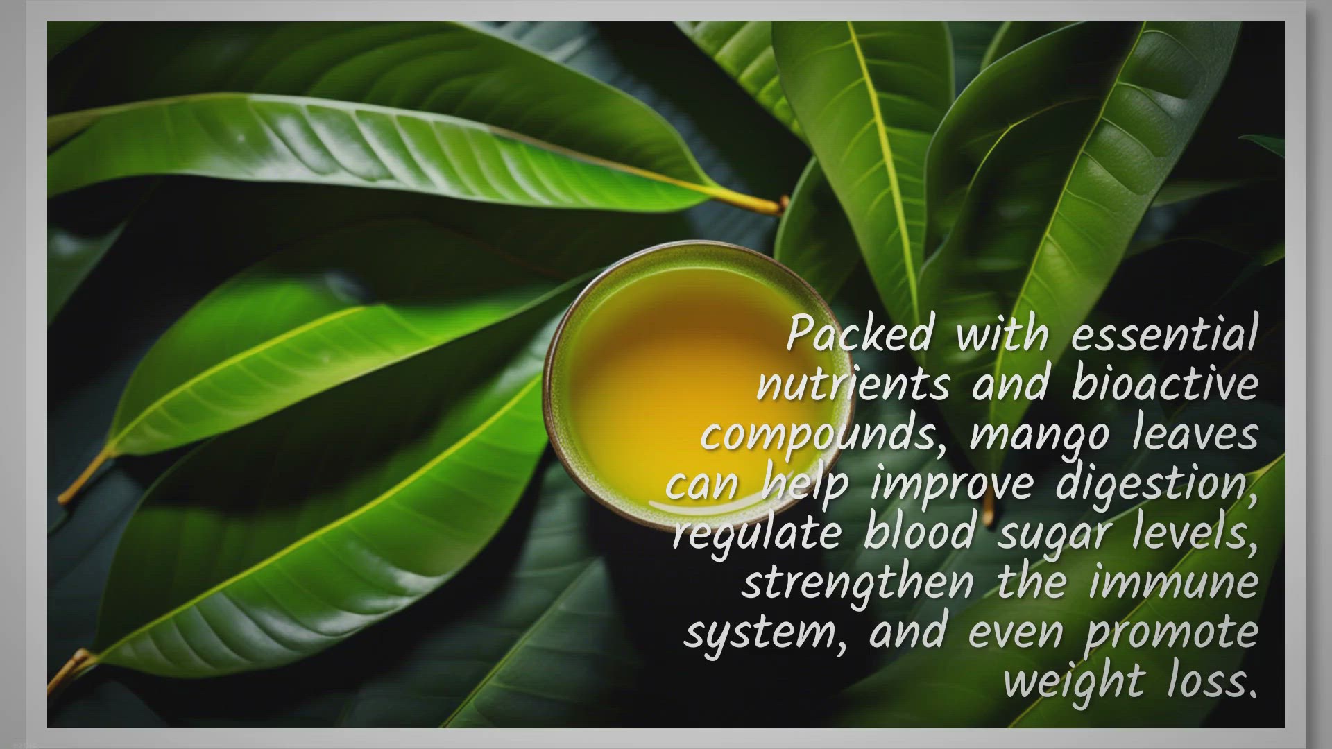 Video thumbnail for Unlock the Secrets of Mango Leaves: Boost Your Health with Mango Leaf Tea!