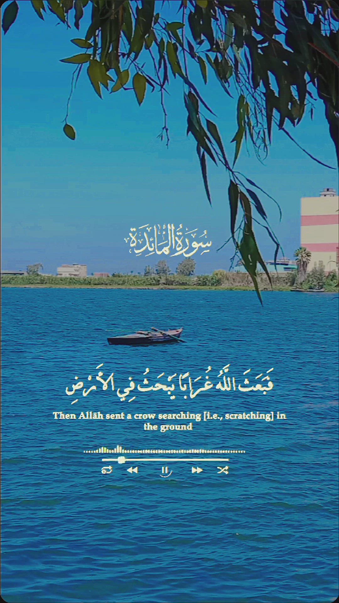 'Video thumbnail for تلاوة مؤثرة: قصة قابيل وهابيل من القرآن بصوت الشيخ السيد سعيد'