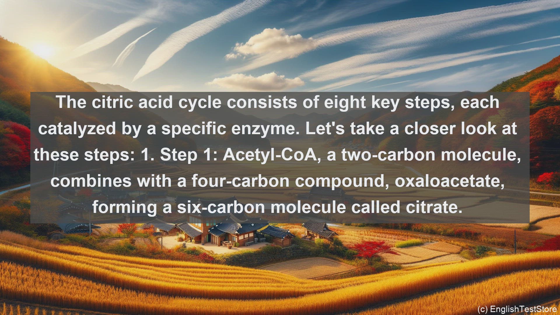 'Video thumbnail for Citric acid cycle in science  definition and examples'