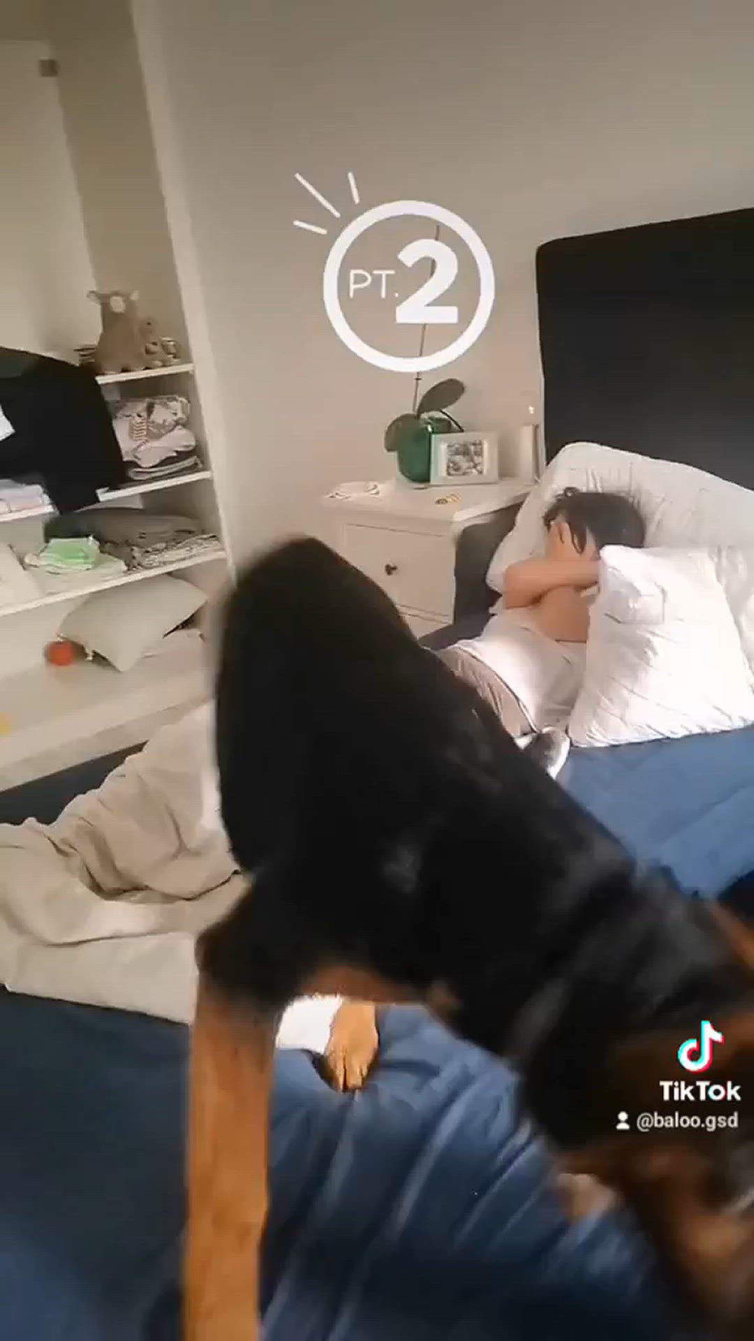 'Video thumbnail for Baloo-Star.com'