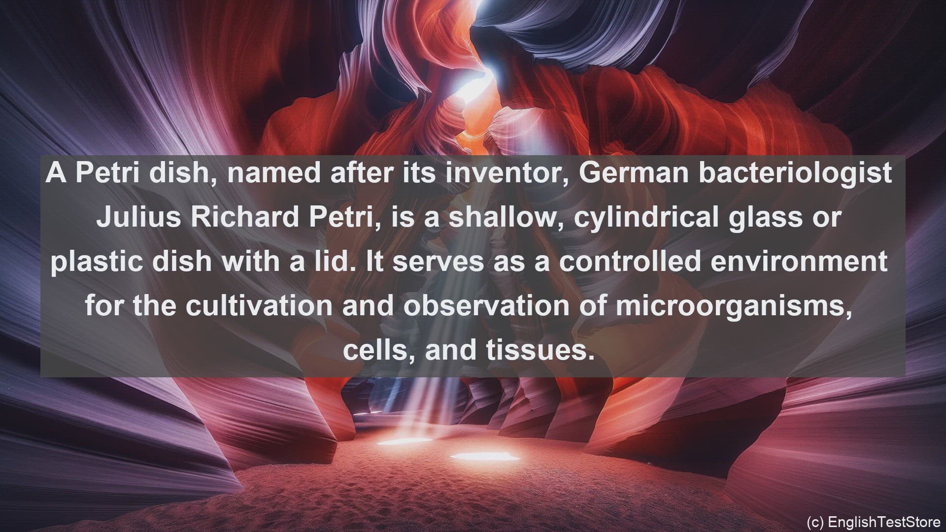 'Video thumbnail for Petri dish in science  definition and examples'
