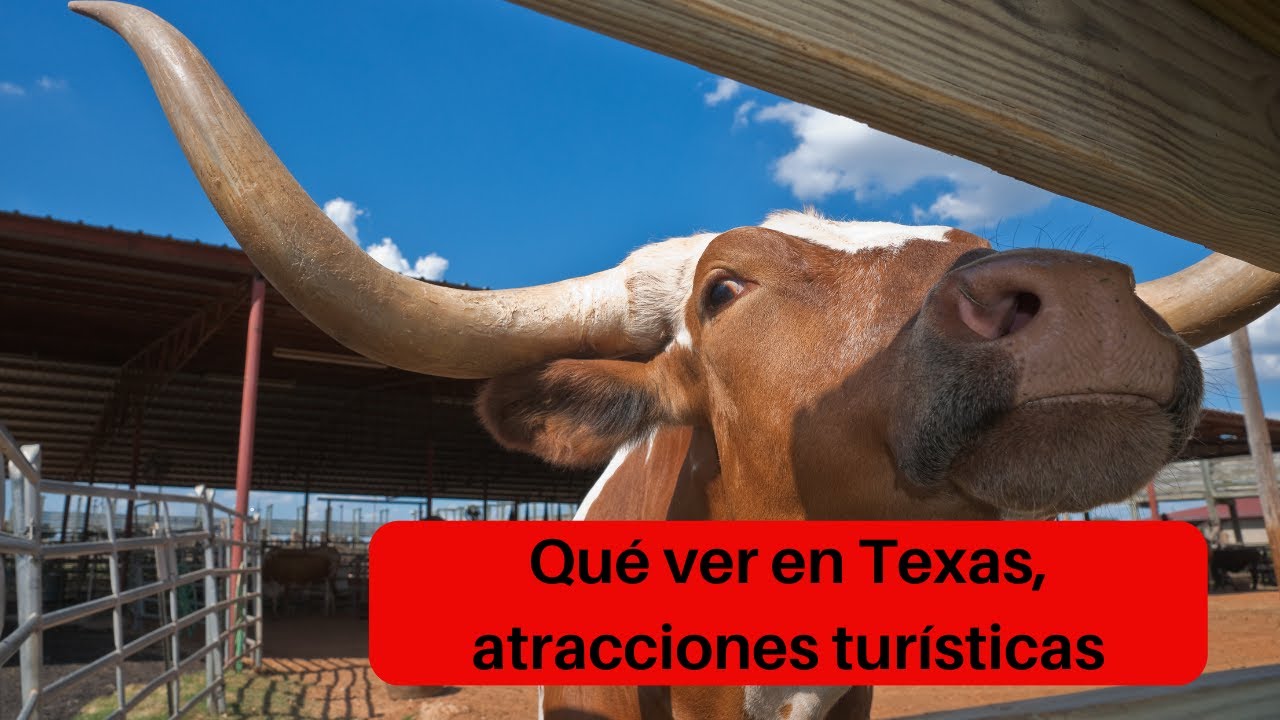Video thumbnail for Qué ver en Texas, atracciones turísticas, video blog