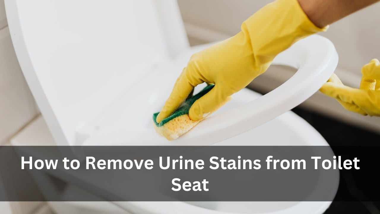 'Video thumbnail for How to Remove Urine Stains from Toilet Seat'