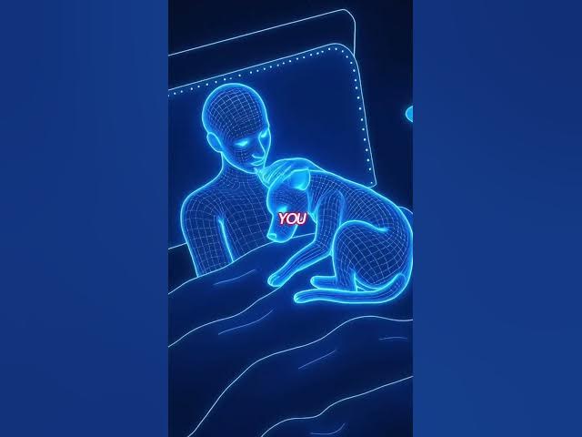 Video thumbnail for Dogs love to sleep in their human's bed for these three reasons.