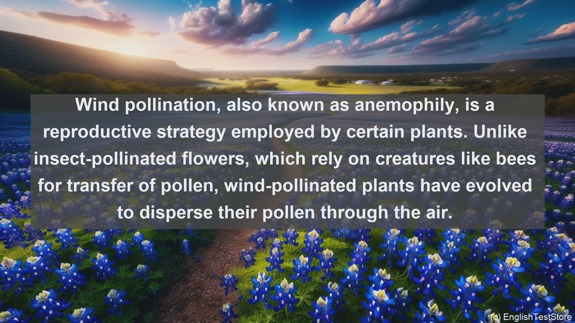 'Video thumbnail for Wind pollination in science  definition and examples'