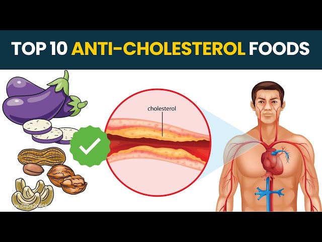 'Video thumbnail for Top 10 Foods Lower Cholesterol Quickly - Cholesterol Lowering Diet'