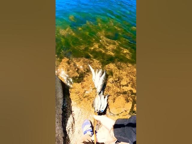 Video thumbnail for Strong Finish to a Day of Fishing #fishinglovers