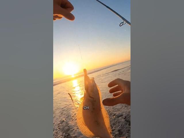 Video thumbnail for Small Catch but BIG VIBES! #Shorefishing