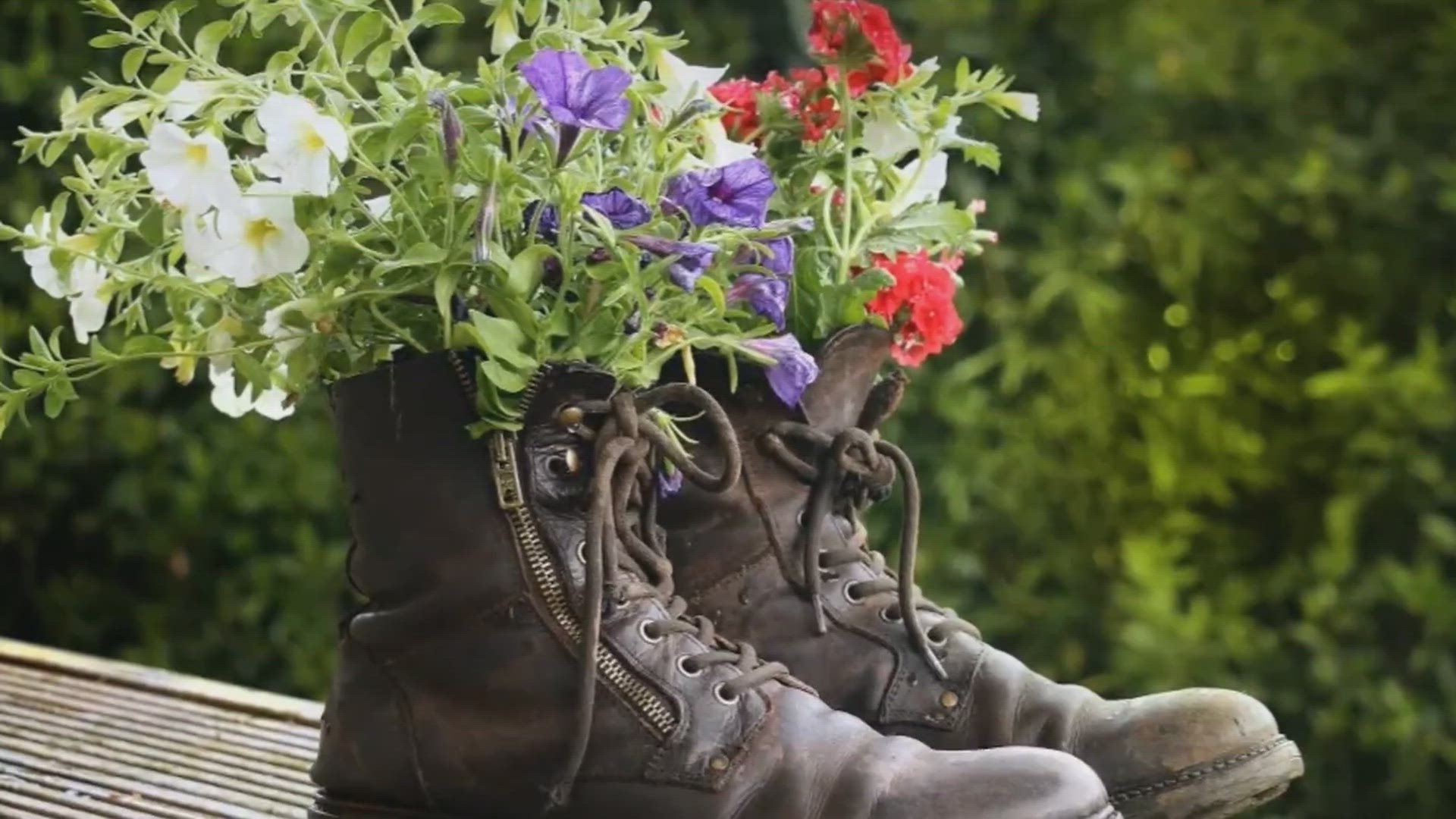 Video thumbnail for Innovative Gardening: Creative and Sustainable Techniques for Every Space